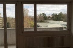 IMG_0125