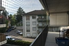 IMG_0466