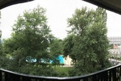 IMG_0511