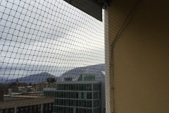 IMG_0991