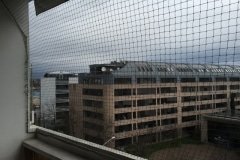 IMG_0993