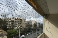 IMG_1205