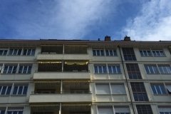 IMG_1226