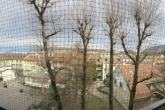 IMG_1449