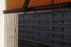 IMG_1813