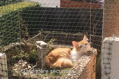 balcon-porte-jardiniere-02
