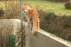 balcon-porte-jardiniere-04