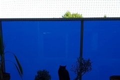 filet-de-protection-pour-chat-balcon-vitre