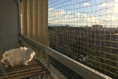 filet_de_protection_pour_chats-9