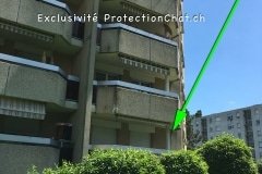 protection_chat_filet_securite_vert_invisible