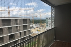 protectionchat_filet_vert_meyrin-1