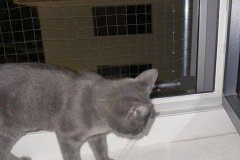 IMG_4042