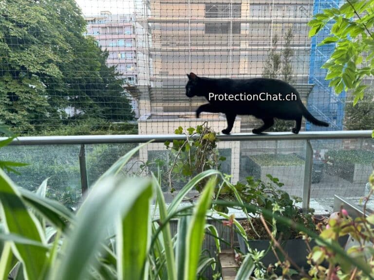 Cat-proof balcony on the railing, ProtectionChat 01