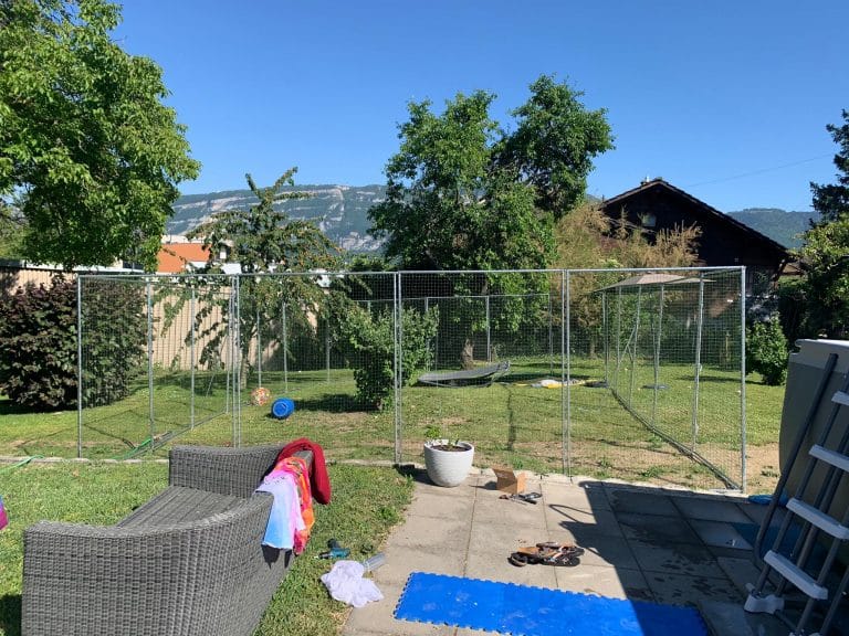 Self-supporting Catio 02