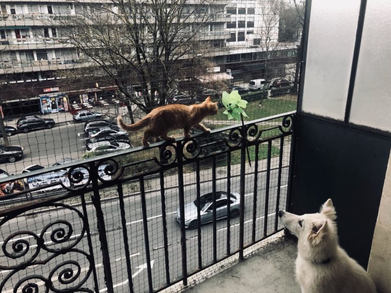 Filets verts – filet de protection pour chat, balcon