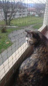 Filets verts – filet de protection pour chat, balcon