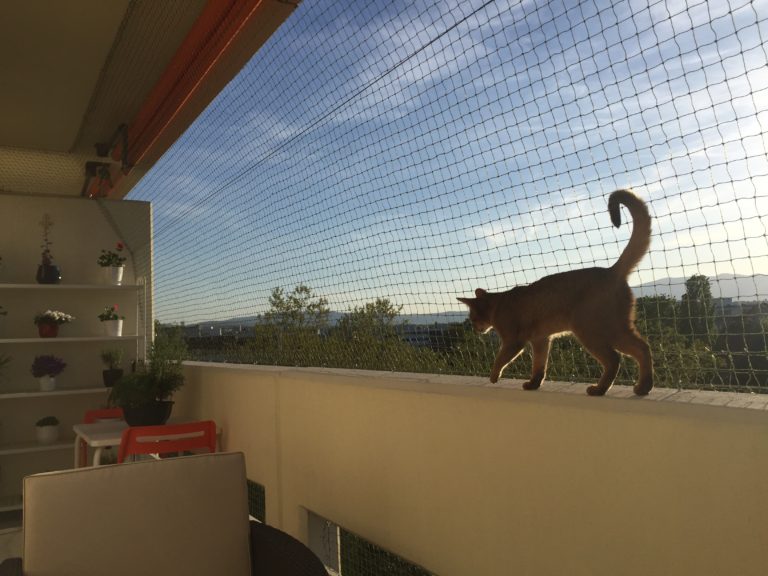 Filets verts – filet de protection pour chat, balcon