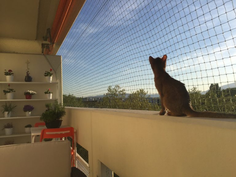 Filets verts – filet de protection pour chat, balcon