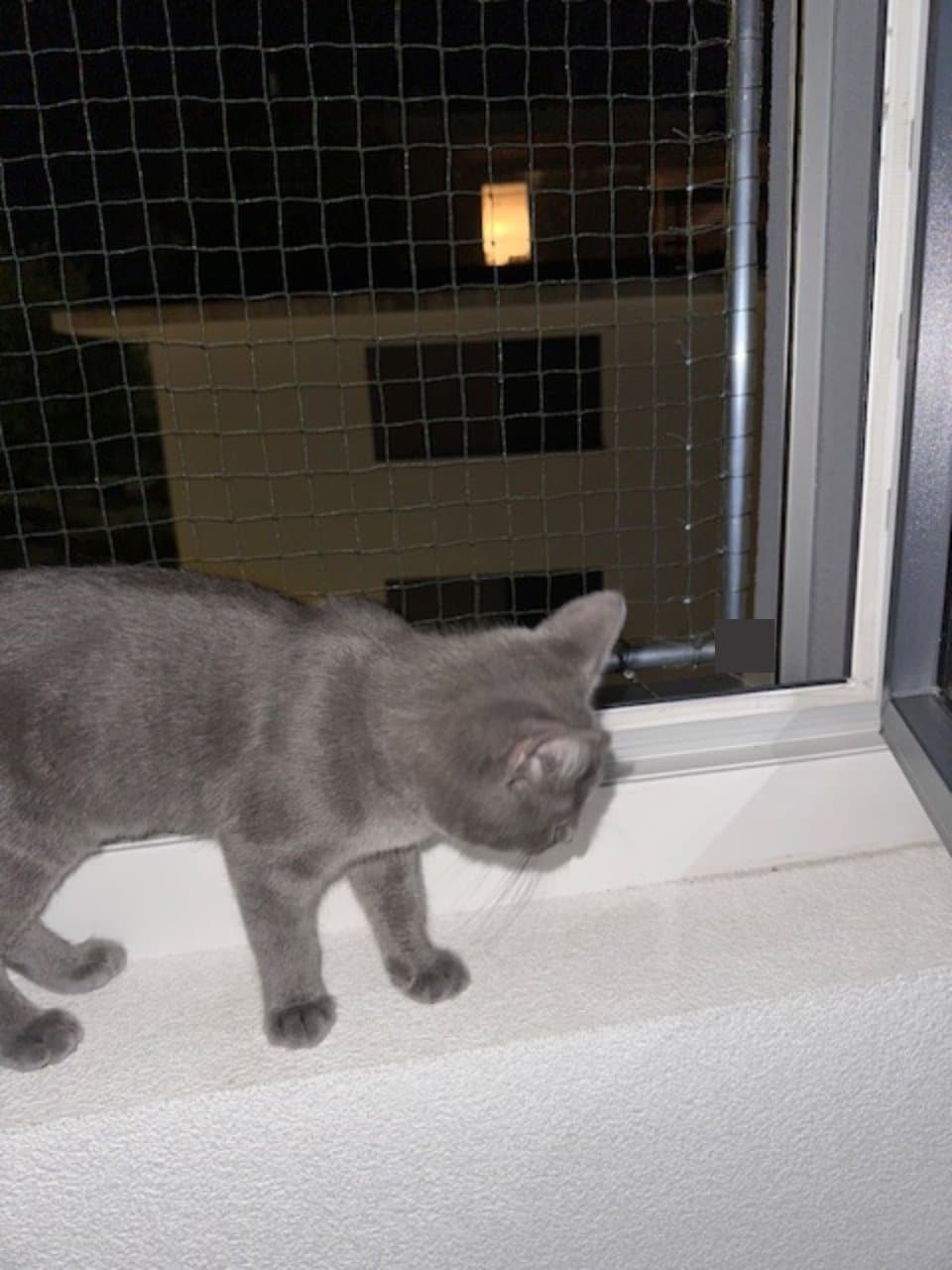 cadre de sécurité sans percer de trous