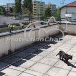 Juliana-Filet-de-protection-pour-chat-pour-terrasse