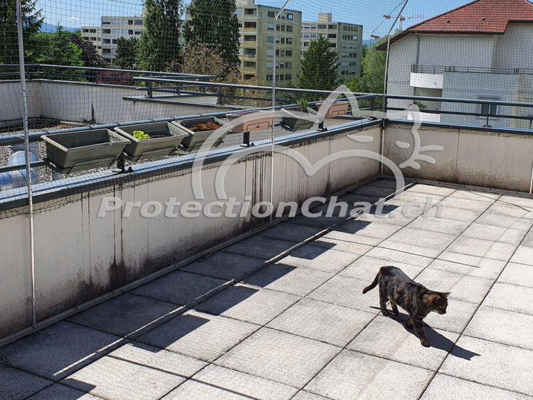 Juliana Cat safety net for a terrace
