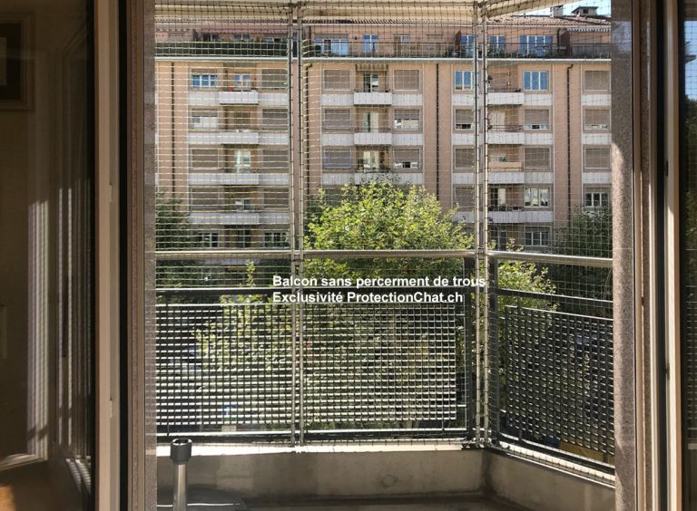 Protection Chat Balcon Sans Percer Plainpalais 01