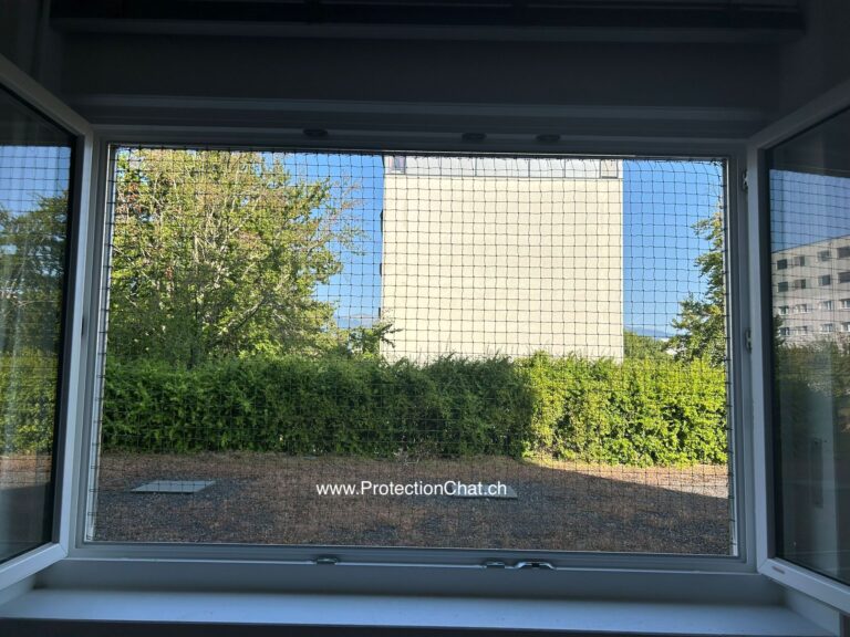 Protection Chat frame with net for window without drilling holes 03