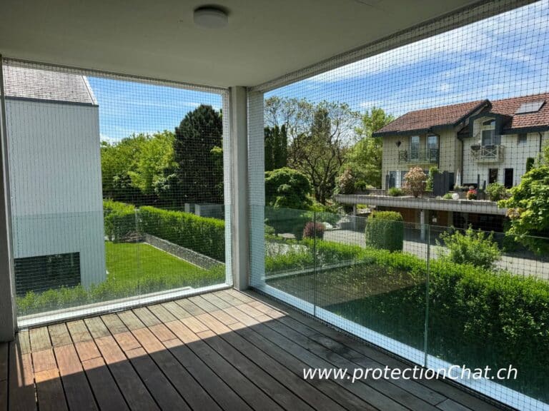 Protection Chat Fribourg 01