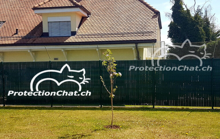 Protection Chat fence extension 02