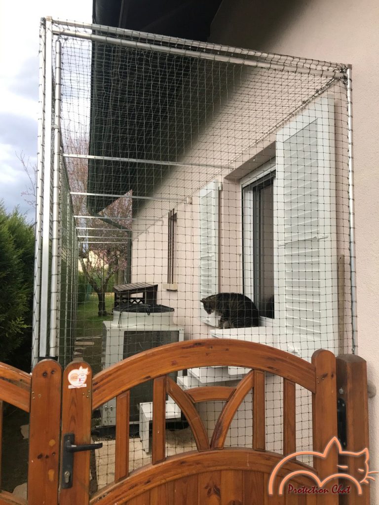 Protection Chats catio, cat enclosure at a house 6