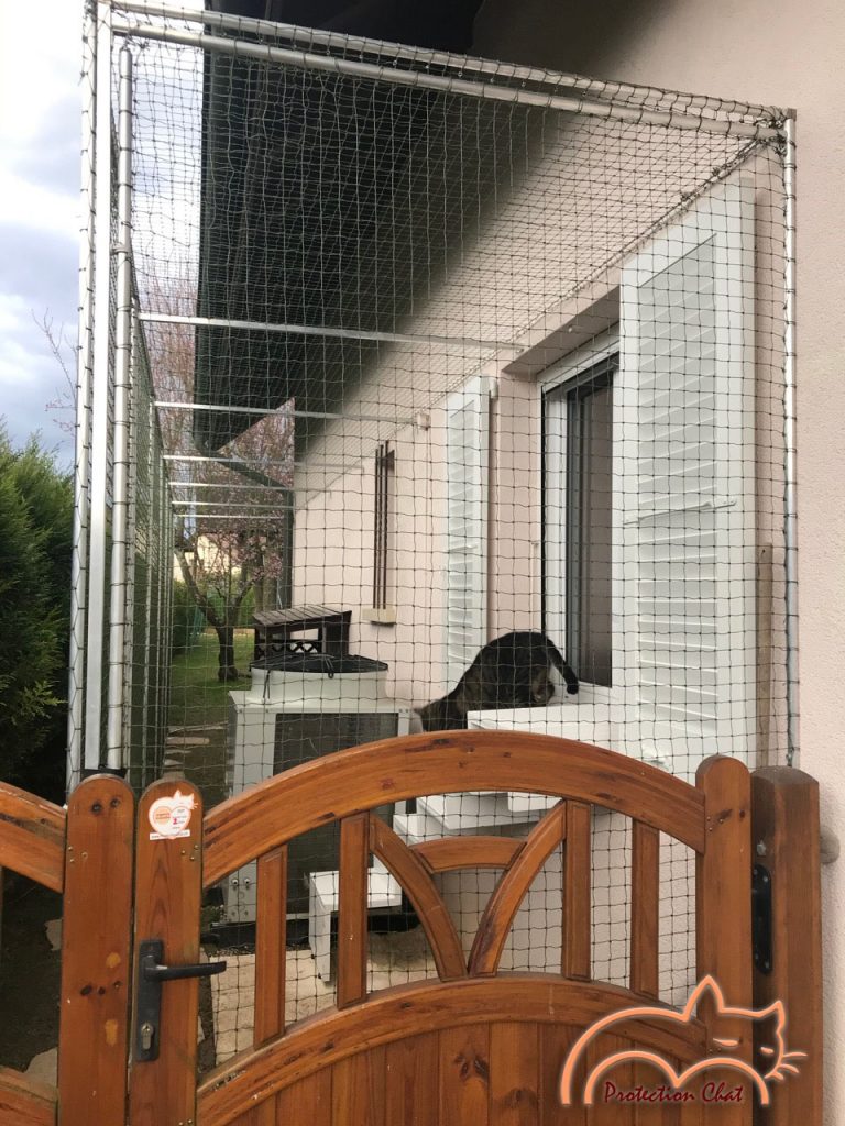 Protection Chats Catio cat space villa 7