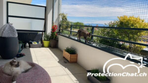 ProtectionChat XXL Sliding Net Frame 01