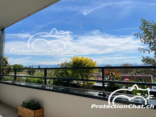 ProtectionChat_Cadre_Filet_Coulissant_XXL_04