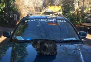 ProtectionChat recommended