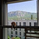 Filet de protection pour chats sur balcon, sans percer de trous