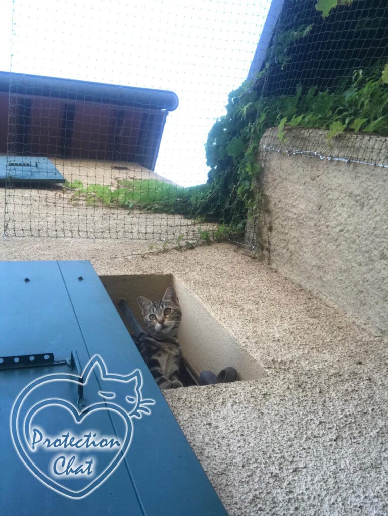 Terrasse Securisee ProtectionChat.ch 05