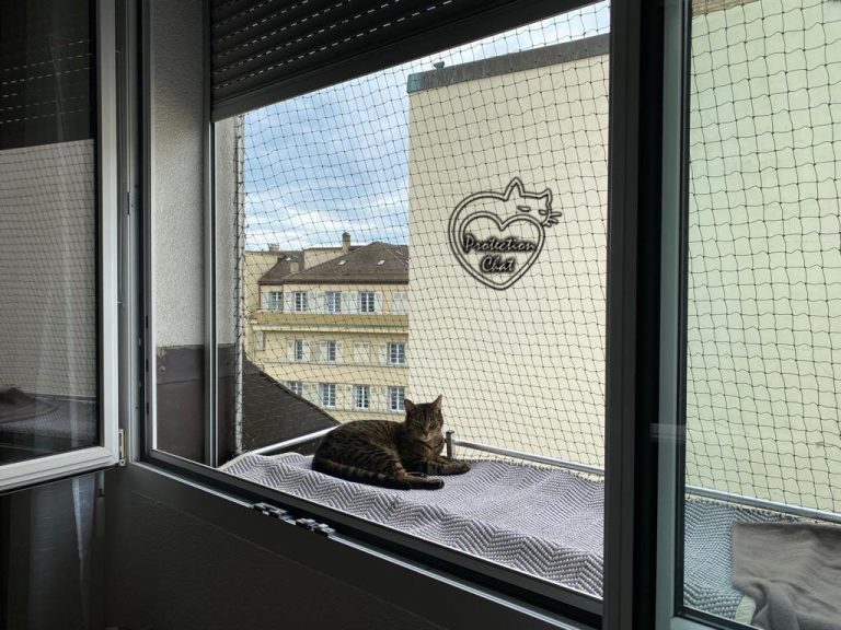 window catio 08