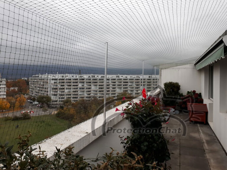 cat safety net secured balcony with roof cover