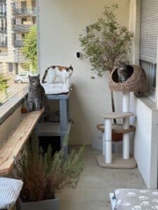 filet-de-protection-pour-chat-sur-balcon-Martigny-01