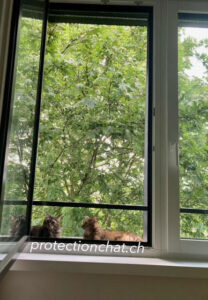 XXL cat safety net without drilling into the walls 01