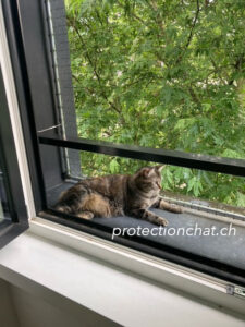 XXL cat safety net without drilling into the walls 02