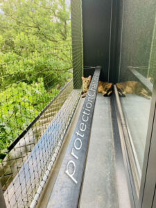 xxl cat safety net without drilling the walls 03