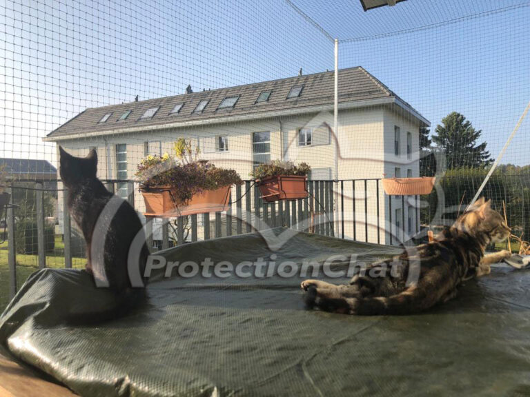 cat net balcony without drilling holes 20211017