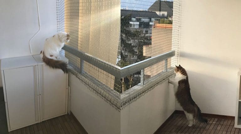 filet de protection pour chats   13