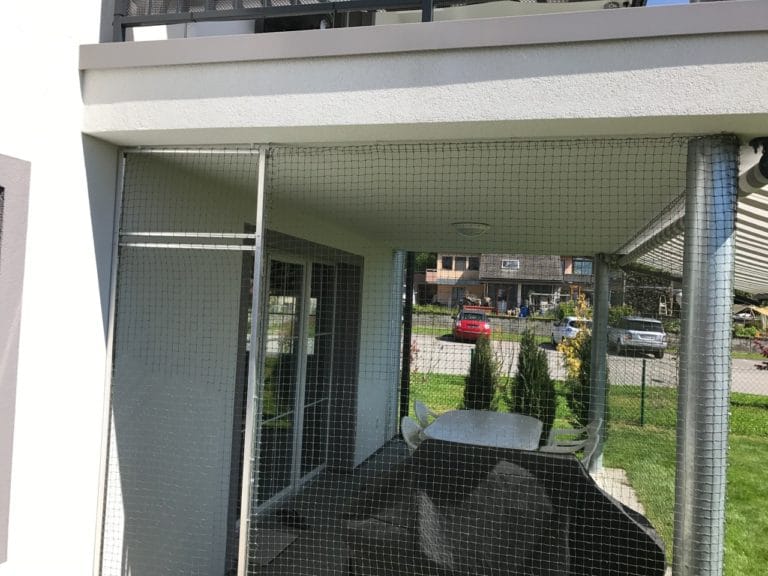 Protection Chat securing a terrace with a door