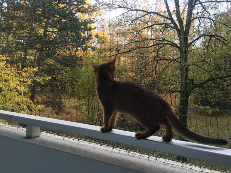 Filets verts – filet de protection pour chat, balcon