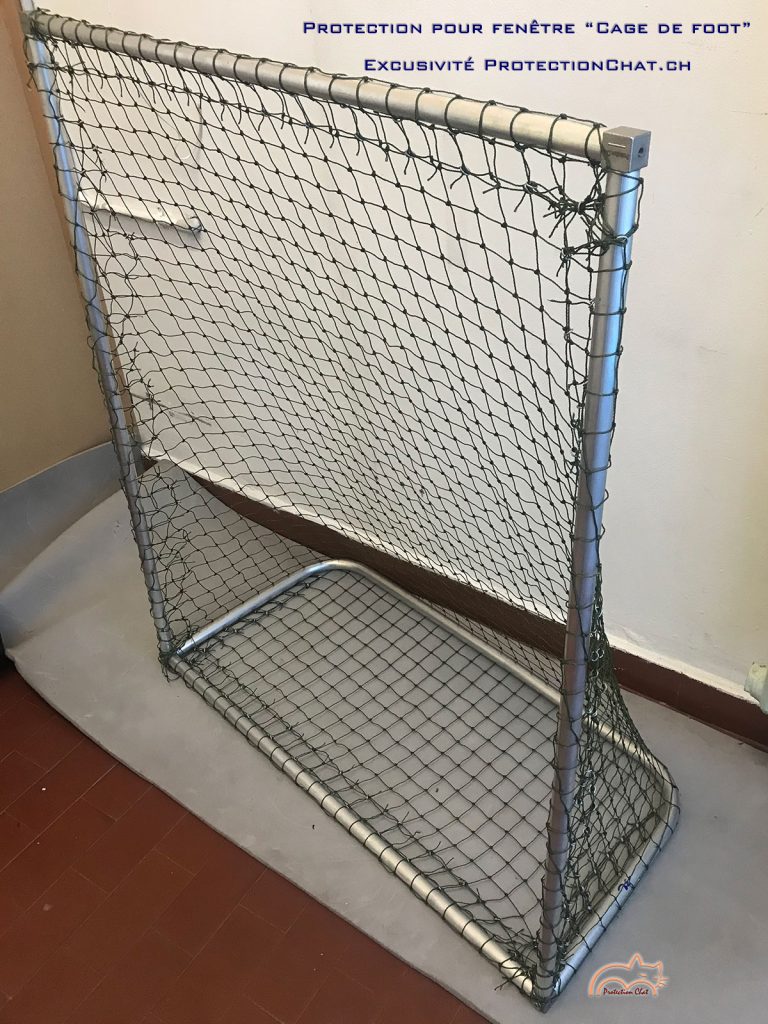protection chat Cage de Foot window 2