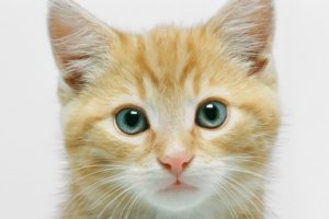 Portrait of Lilou