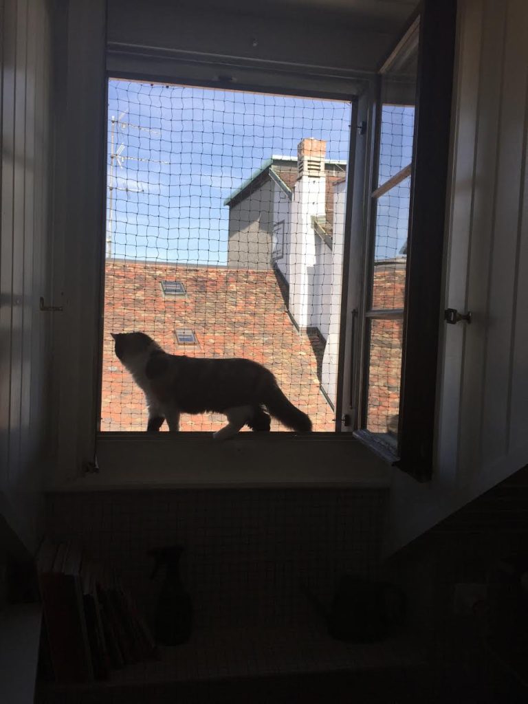 cat protection frame without drilling