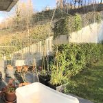 securiser-un-jardin - 1